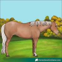 Horse Color:Silver Black Pearl 