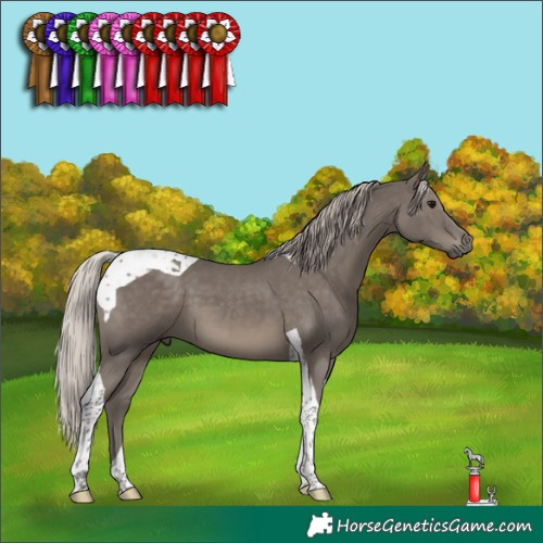 Horse Color:Silver Black Tobiano