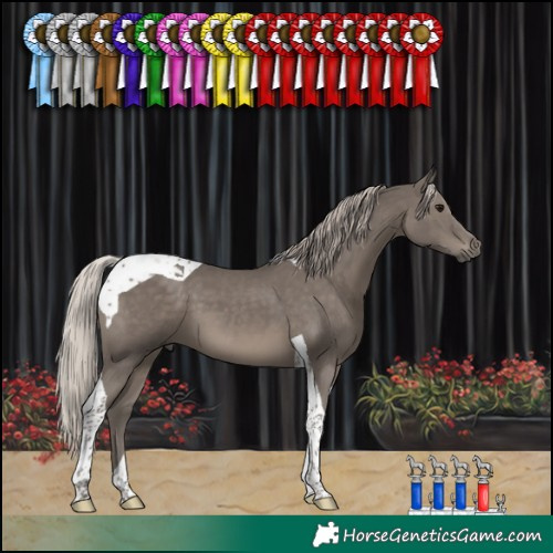 Horse Color:Silver Black Tobiano 