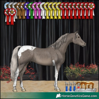 Horse Color:Silver Black Tobiano 