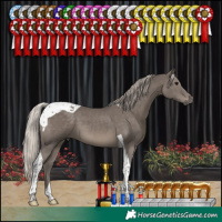 Horse Color:Silver Black Tobiano 