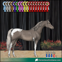 Horse Color:Silver Black Tobiano