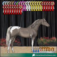 Horse Color:Silver Black Tobiano