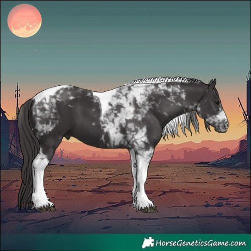 Horse Color:Smoky Black Tobiano 