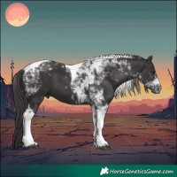 Horse Color:Smoky Black Tobiano 