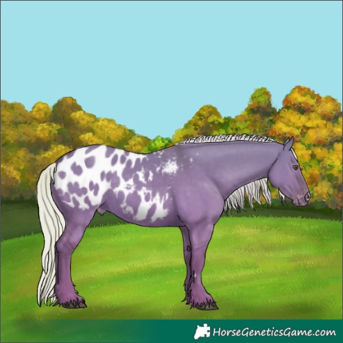 Horse Color:Silver Smoky Grullo Blanket 