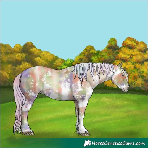 Horse Color:Nacre Silver Smoky Black Pearl Sabino 