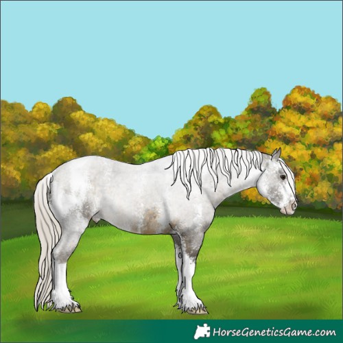 Horse Color:Silver Buckskin Sabino 