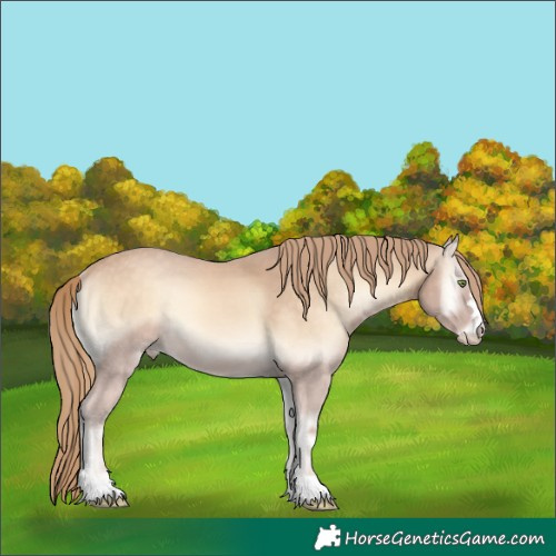 Horse Color:Perlino Onyx 