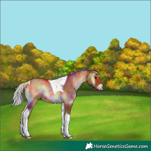 Horse Color:Nacre Silver Bay Onyx Tobiano 