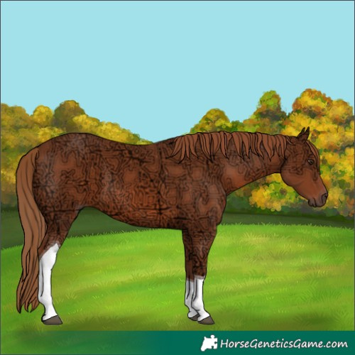 Horse Color:Chestnut Ice Tobiano