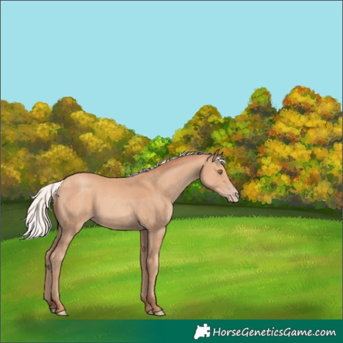 Horse Color:Chocolate Silver Amber Champagne 