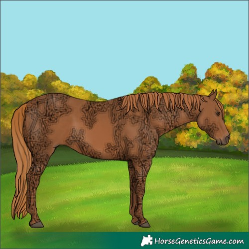 Horse Color:Chestnut Ice