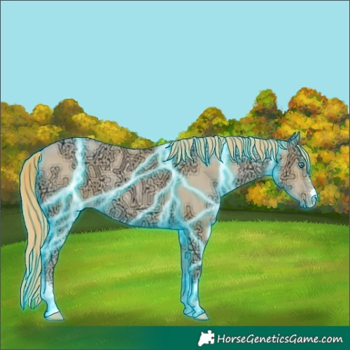 Horse Color:Thunderstruck Buckskin Ice Pearl Sabino