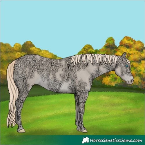 Horse Color:Chocolate Smoky Creme Ice