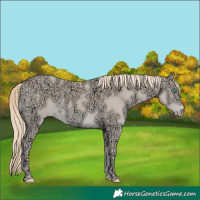 Horse Color:Chocolate Smoky Creme Ice