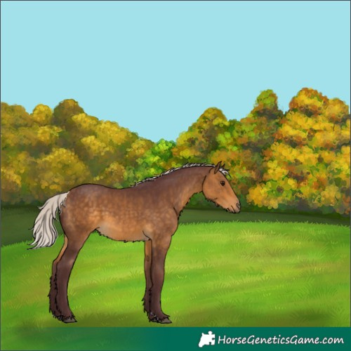 Horse Color:Chocolate Silver Buckskin 