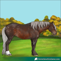 Horse Color:Silver Brown 