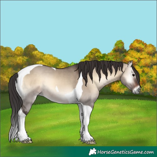 Horse Color:Brown Onyx Tobiano 