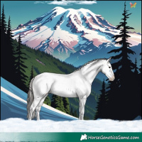 Horse Color:White Spotted Bay 