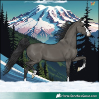 Horse Color:Grullo 