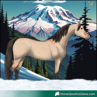 Horse Color:Bay Dun