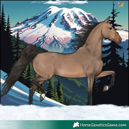 Horse Color:Bay Dun