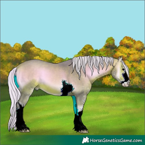 Horse Color:Watercolor Silver Bay Onyx Sabino 
