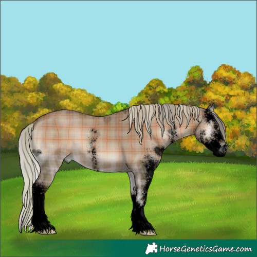 Horse Color:Void Plaid  Silver Grullo Onyx Sabino 