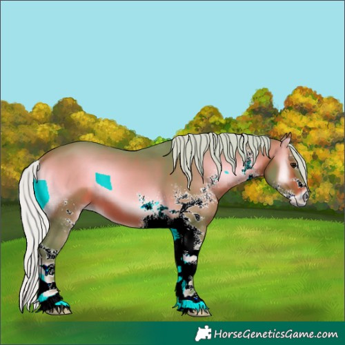 Horse Color:Watercolor Silver Brown Onyx Sabino 
