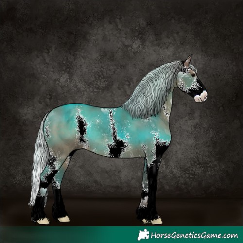 Horse Color:Silver Grullo Sabino 