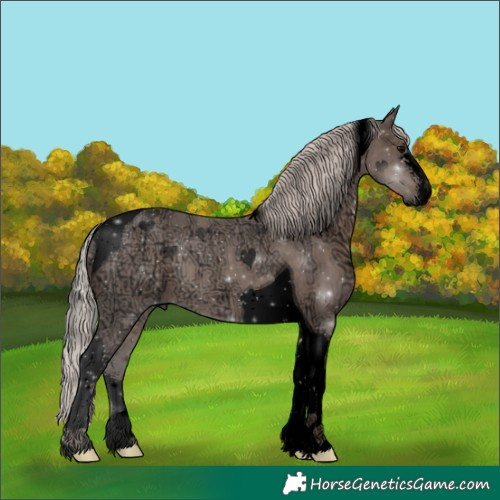 Horse Color:Void Silver Black Ice Sabino Tobiano 