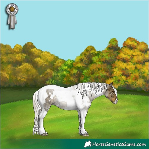 Horse Color:Plaid  White Spotted Silver Buckskin Ice Dun Tobiano 