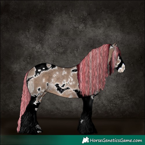 Horse Color:Painted White Spotted Silver Grullo Splash Tobiano Rabicano 