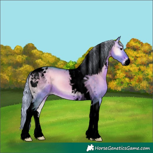 Horse Color:Void Watercolor Silver Brown Onyx Sabino Tobiano 