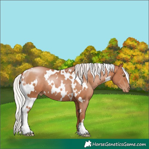 Horse Color:White Spotted Silver Brown Pearl 