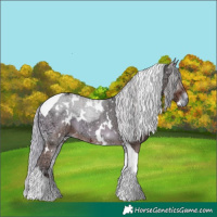 Horse Color:White Spotted Silver Blue Onyx Ice Tobiano