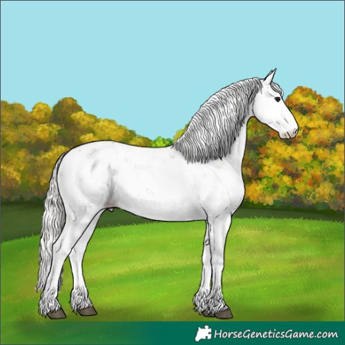 Horse Color:Silver Grullo Sabino 