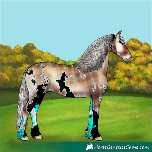 Horse Color:Plaid  White Spotted Silver Brown Onyx 