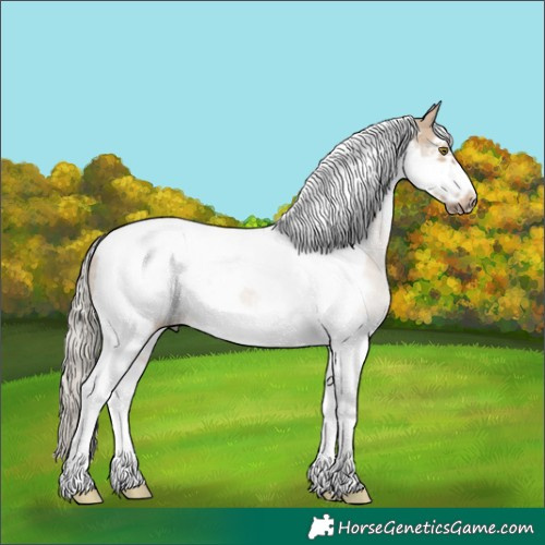 Horse Color:Silver Brown Dun Sabino Tobiano Frame Rabicano 