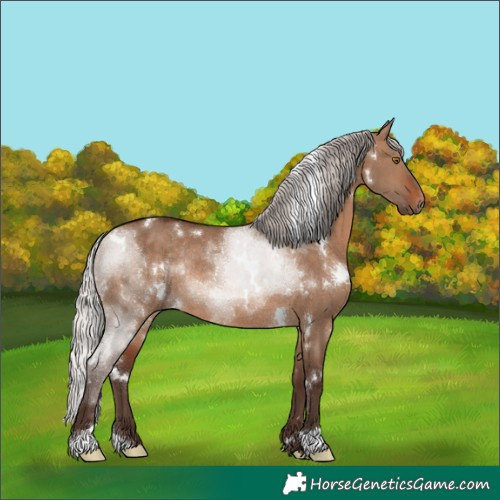 Horse Color:White Spotted Silver Brown Dun Rabicano 