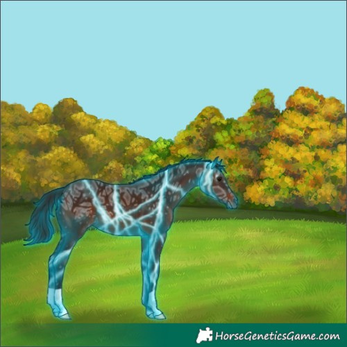 Horse Color:Gray Thunderstruck Bay Ice 