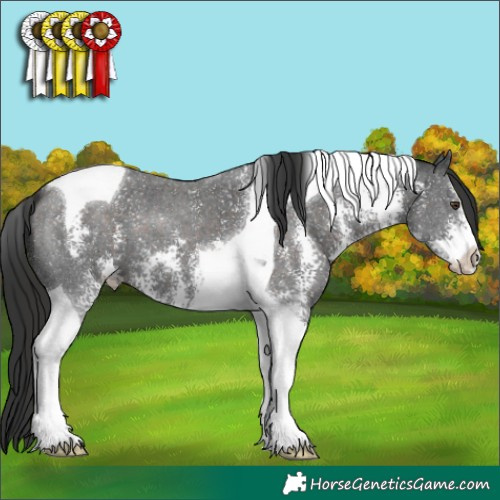 Horse Color:Liver Chestnut Sabino Tobiano 