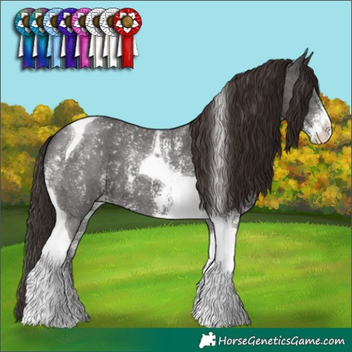 Horse Color:Liver Chestnut Sabino Tobiano 