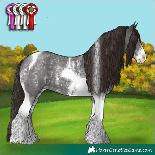 Horse Color:Liver Chestnut Sabino Tobiano 