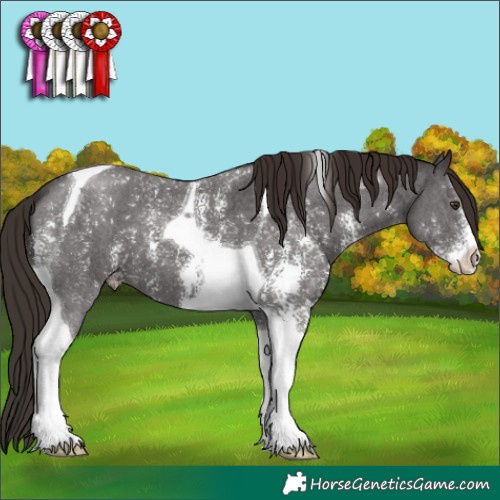 Horse Color:Liver Chestnut Sabino Tobiano 