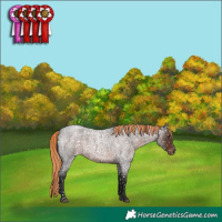 Horse Color:Liver Red Roan Snowflake Varnish