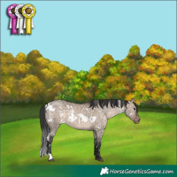 Horse Color:White Spotted Brown Dun Snowflake Varnish