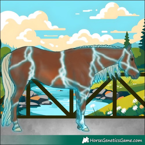 Horse Color:Thunderstruck Chestnut 