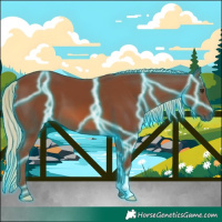 Horse Color:Thunderstruck Chestnut